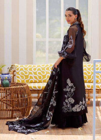 Reina Ebony Shirt and Dupatta - Image 2