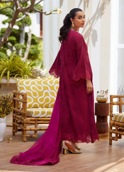 Aiko Burgundy Shirt and Dupatta - Image 4