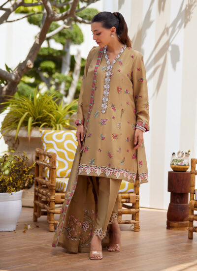 Lira Beige Shirt and Dupatta - Image 9
