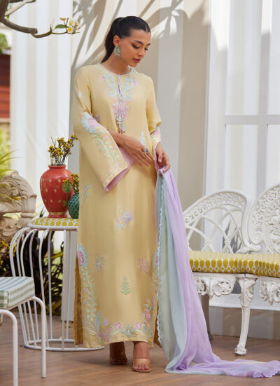 Vaya Lemon Shirt and Dupatta - Image 9