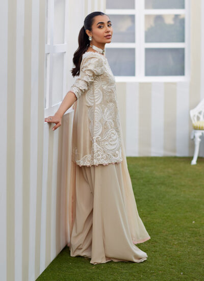 Danika Sand Shirt and Dupatta - Image 2
