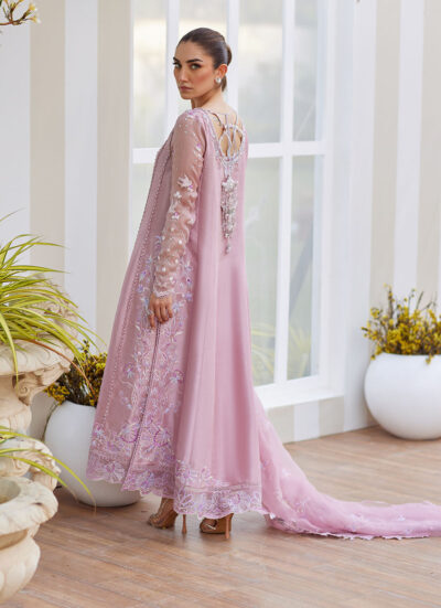 Karis Mauve Kalidaar and Dupatta - Image 2