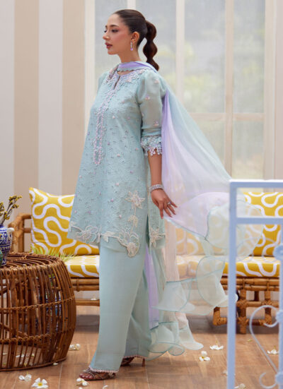 Noa Ice Blue Shirt and Dupatta - Image 10