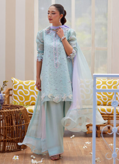 Noa Ice Blue Shirt and Dupatta - Image 8