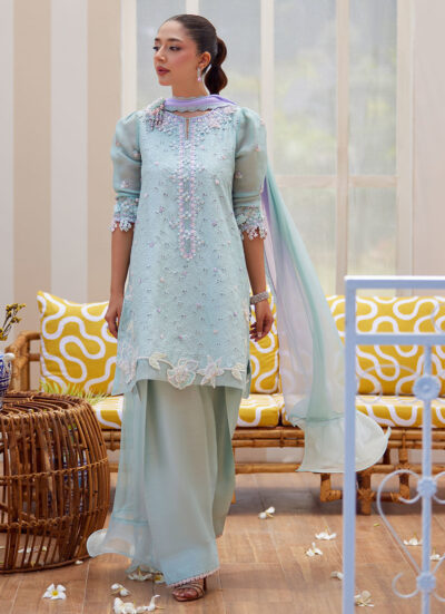 Noa Ice Blue Shirt and Dupatta - Image 7