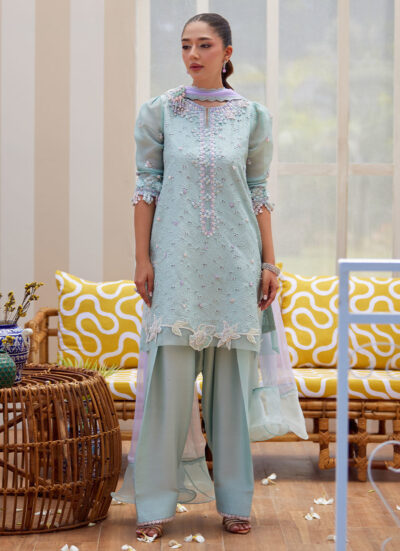 Noa Ice Blue Shirt and Dupatta - Image 5