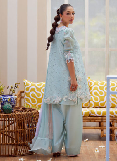Noa Ice Blue Shirt and Dupatta - Image 4