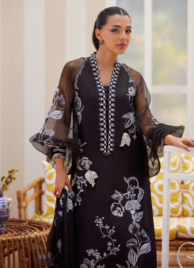 Reina Ebony Shirt and Dupatta - Image 13