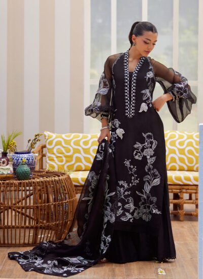 Reina Ebony Shirt and Dupatta - Image 12