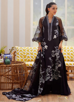 Reina Ebony Shirt and Dupatta