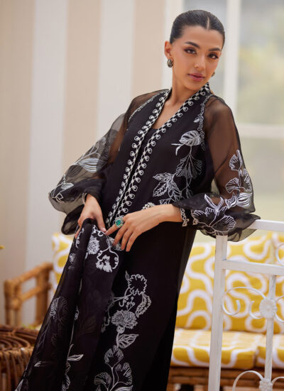 Reina Ebony Shirt and Dupatta - Image 10