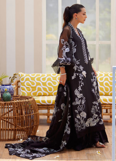 Reina Ebony Shirt and Dupatta - Image 9