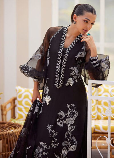 Reina Ebony Shirt and Dupatta - Image 8