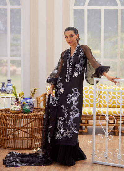 Reina Ebony Shirt and Dupatta - Image 7
