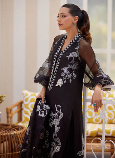 Reina Ebony Shirt and Dupatta - Image 6