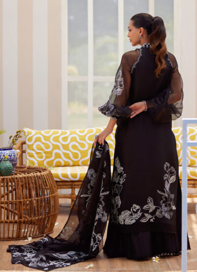 Reina Ebony Shirt and Dupatta - Image 5