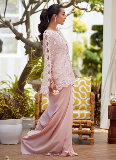 Cari Organza Cape and Pre-Drape Sari Skirt - Image 8