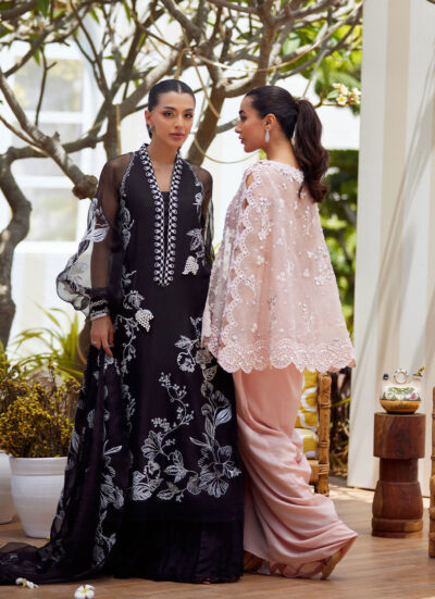 Cari Organza Cape and Pre-Drape Sari Skirt - Image 5