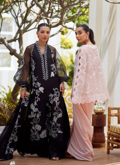 Cari Organza Cape and Pre-Drape Sari Skirt - Image 9