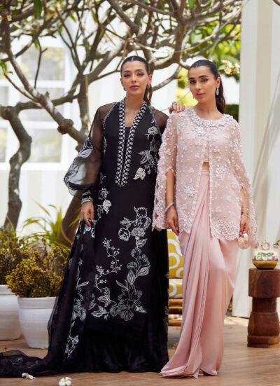 Cari Organza Cape and Pre-Drape Sari Skirt - Image 4