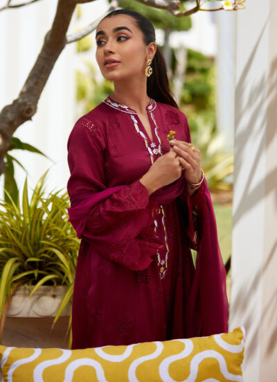 Aiko Burgundy Shirt and Dupatta - Image 8
