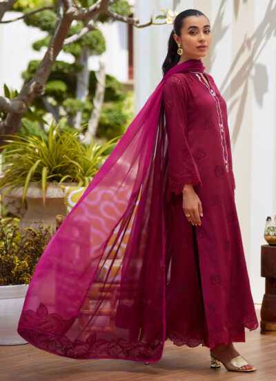 Aiko Burgundy Shirt and Dupatta - Image 6