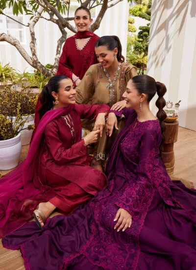 Aiko Burgundy Shirt and Dupatta - Image 2