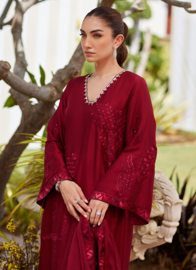 Soraya Scarlett Shirt and Dupatta - Image 11