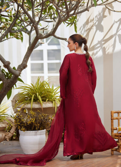 Soraya Scarlett Shirt and Dupatta - Image 6
