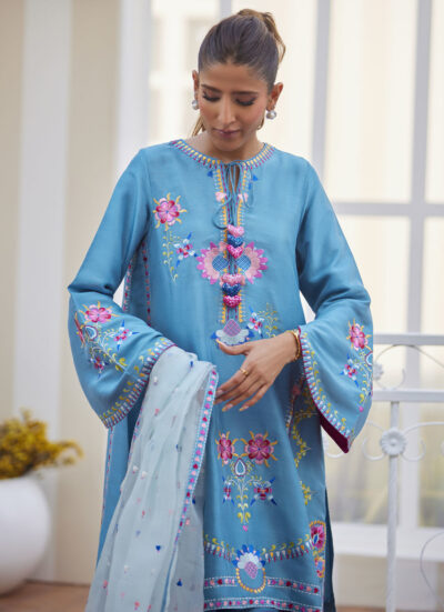Nyssa Blue Shirt and Dupatta - Image 12