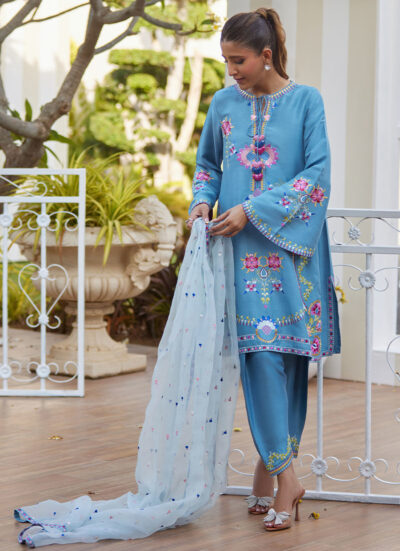 Nyssa Blue Shirt and Dupatta - Image 11