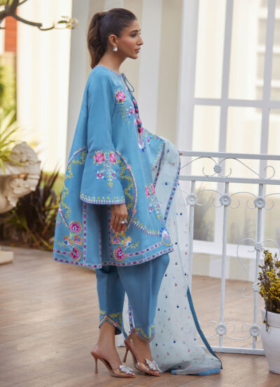 Nyssa Blue Shirt and Dupatta - Image 10