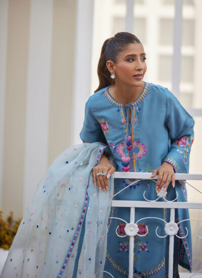 Nyssa Blue Shirt and Dupatta - Image 9