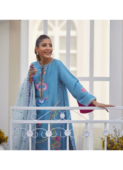 Nyssa Blue Shirt and Dupatta - Image 8