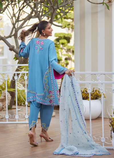 Nyssa Blue Shirt and Dupatta - Image 6