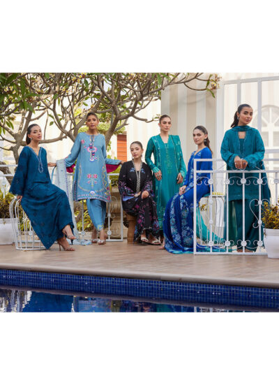 Nyssa Blue Shirt and Dupatta - Image 2