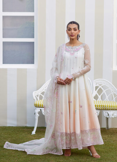 Amaris Ombre Kalidaar and Dupatta - Image 4