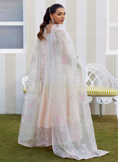 Amaris Ombre Kalidaar and Dupatta - Image 3