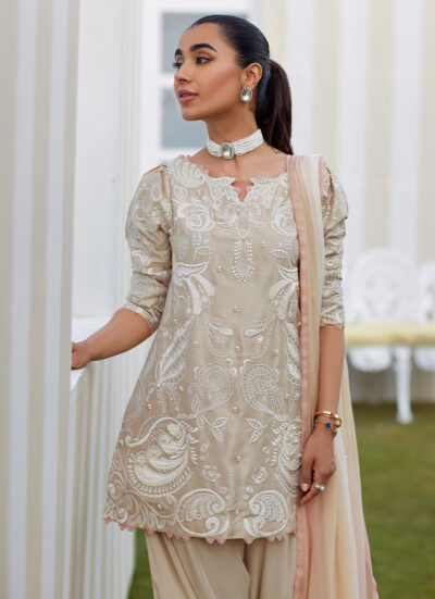 Danika Sand Shirt and Dupatta - Image 6
