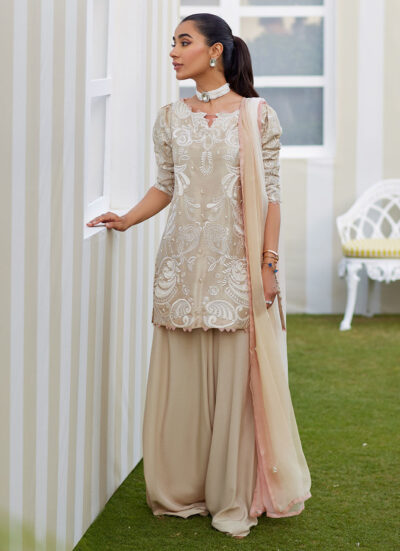 Danika Sand Shirt and Dupatta - Image 5