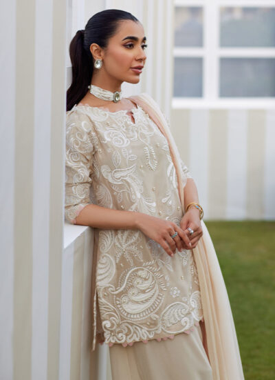 Danika Sand Shirt and Dupatta - Image 4
