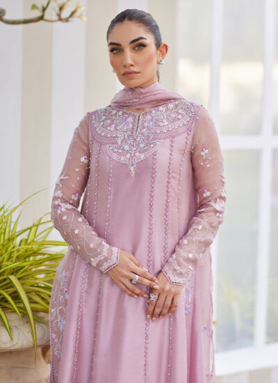 Karis Mauve Kalidaar and Dupatta - Image 8