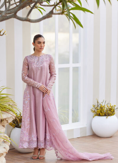 Karis Mauve Kalidaar and Dupatta - Image 7