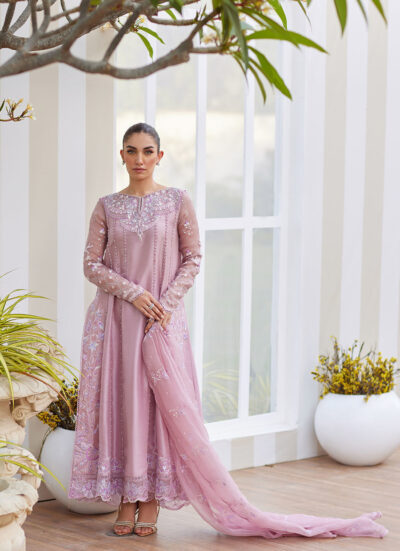 Karis Mauve Kalidaar and Dupatta - Image 6