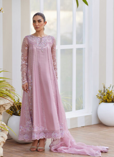 Karis Mauve Kalidaar and Dupatta - Image 5
