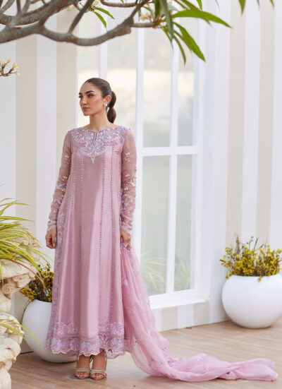Karis Mauve Kalidaar and Dupatta - Image 4