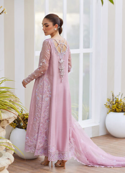 Karis Mauve Kalidaar and Dupatta - Image 3