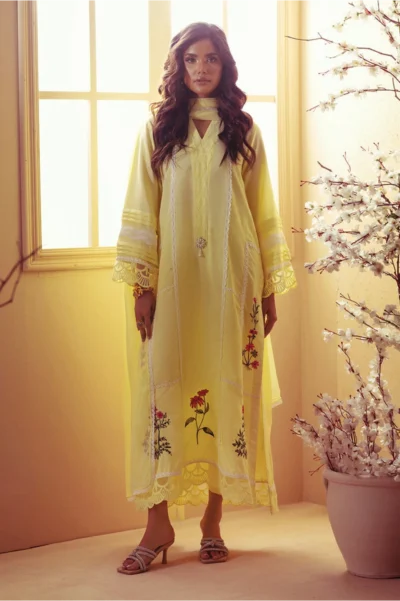 Taani (Shirt, Pants & Dupatta) - Image 3