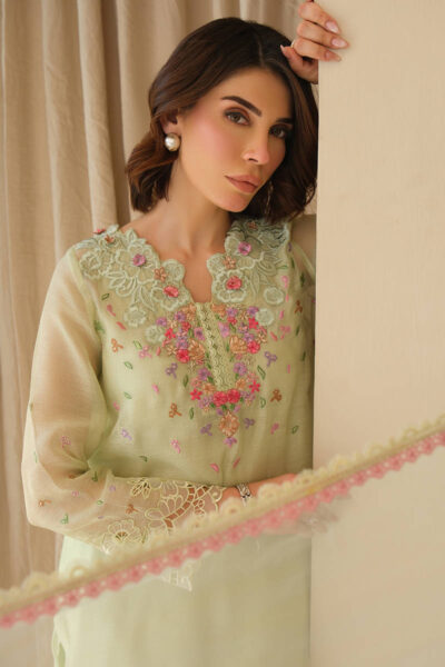 Mint June with Dupatta and Shalwar - Image 5