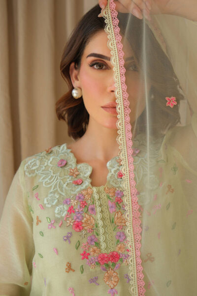 Mint June with Dupatta and Shalwar - Image 2